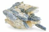 Vibrant Blue Kyanite Crystals In Quartz - Brazil #242797-1